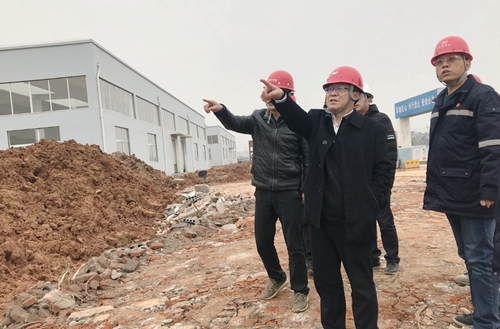 王大真到新材料公司、TPO項目現(xiàn)場和股份公司檢查工作(圖2)