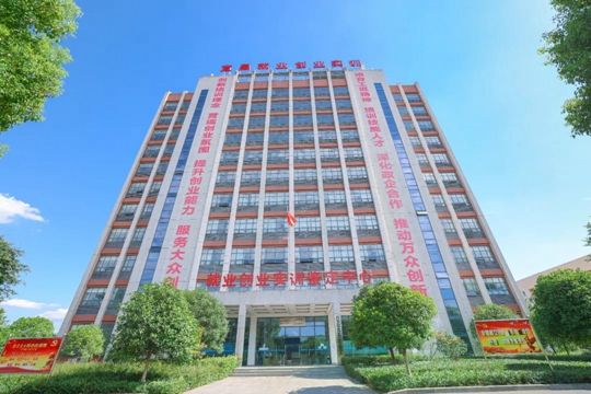 湖北省第一批“荊楚工匠學(xué)院”！宜化職業(yè)培訓(xùn)中心獲授牌(圖2)