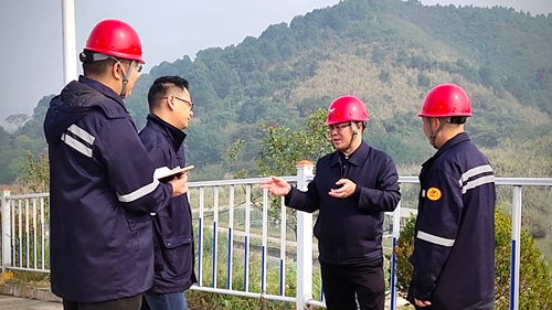 王大真到松滋肥業(yè)、楚星公司、新材料公司和股份公司現(xiàn)場(chǎng)調(diào)研